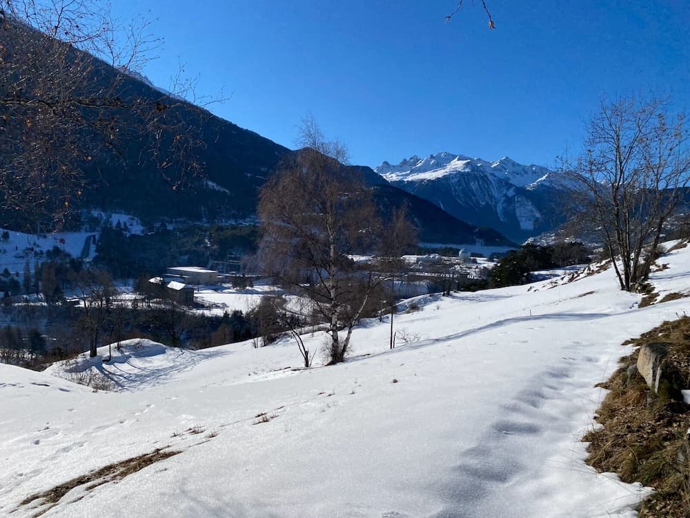 View from property