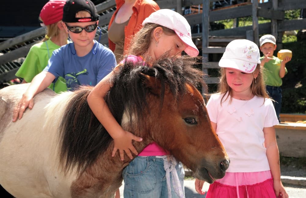 Horseback riding