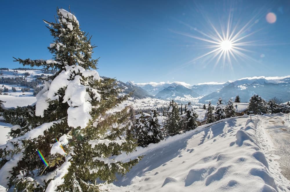 Snowshoeing