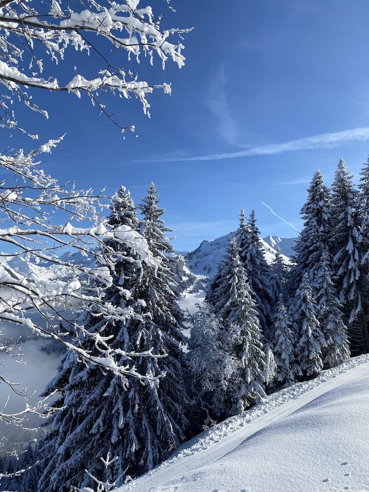 Snow and ski sports