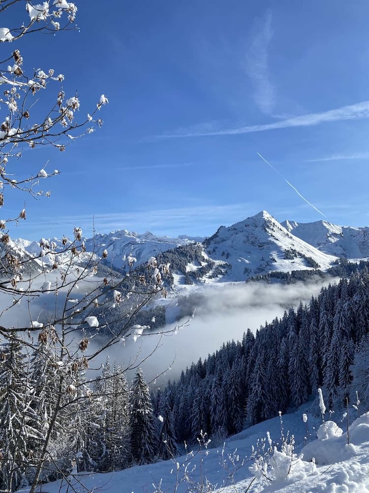 Snow and ski sports