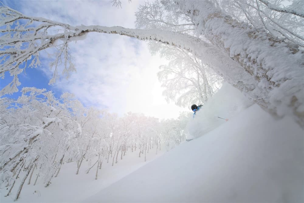 Skiing