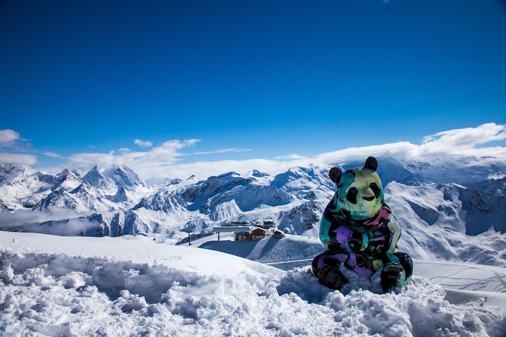Snow and ski sports