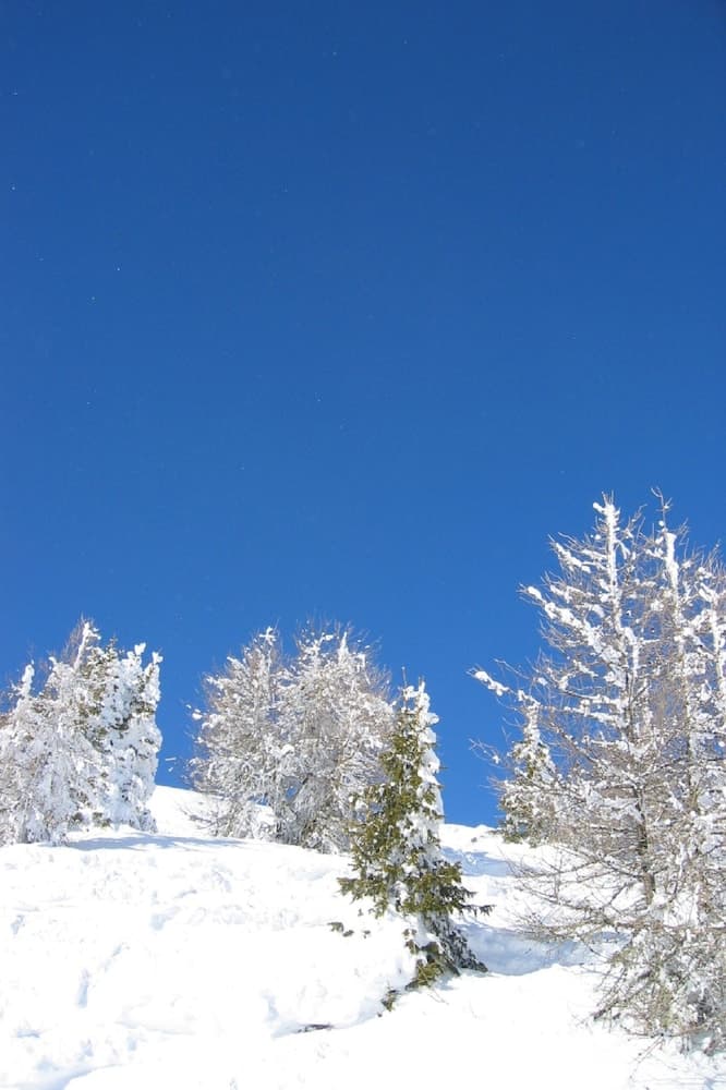 Snowshoeing