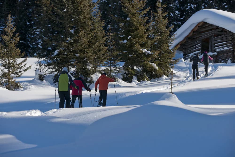 Snowshoeing