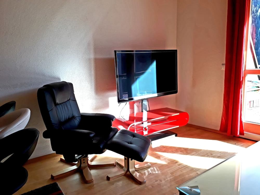 Television