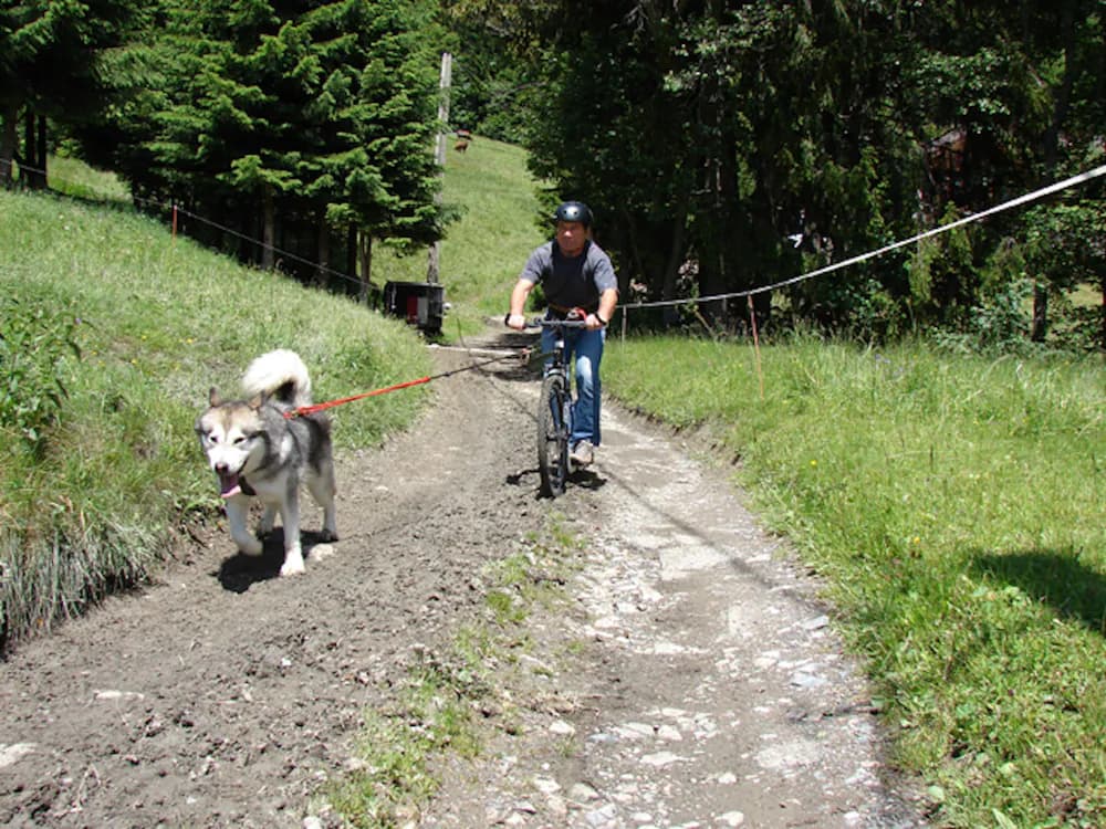 Bicycling