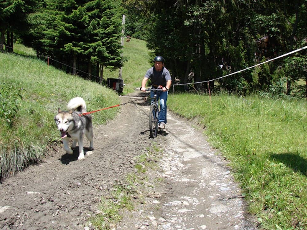 Bicycling