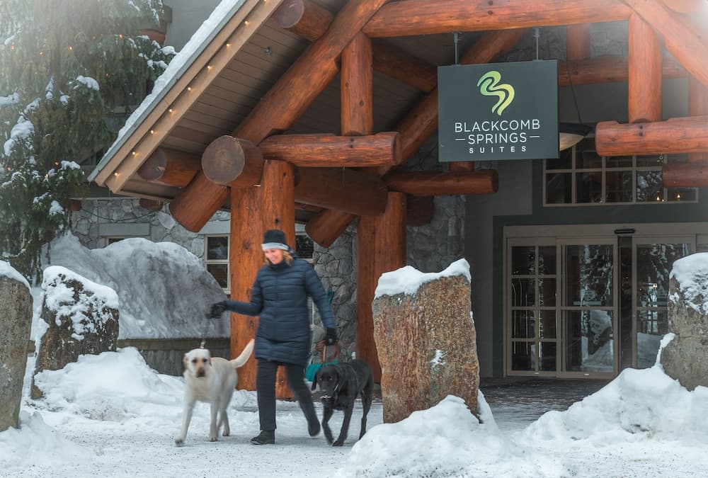 Pet-friendly
