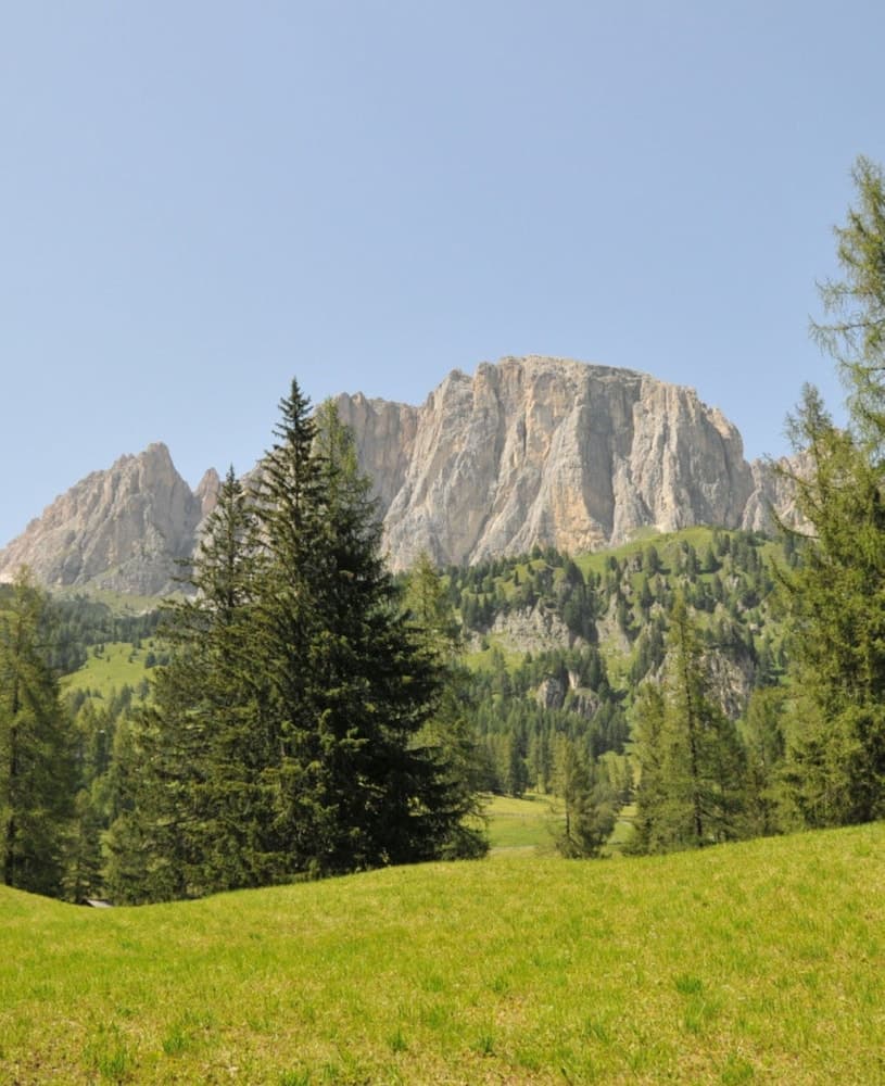 Hiking