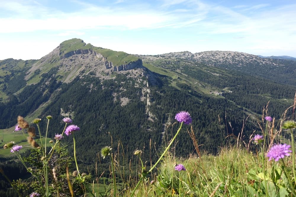 Hiking
