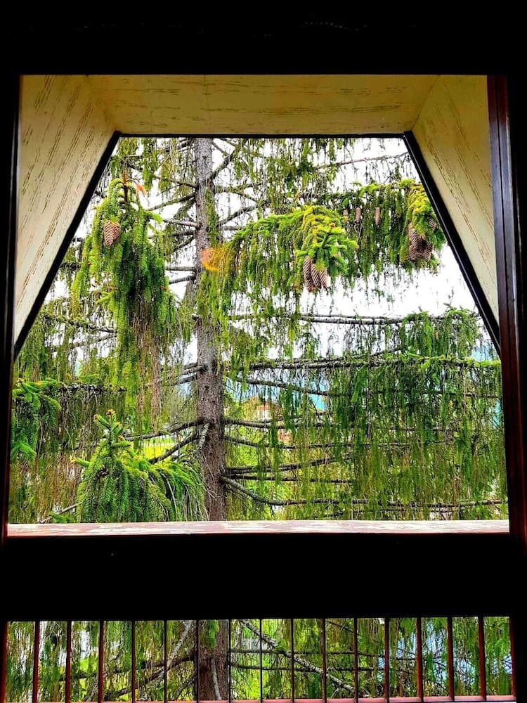 View from room