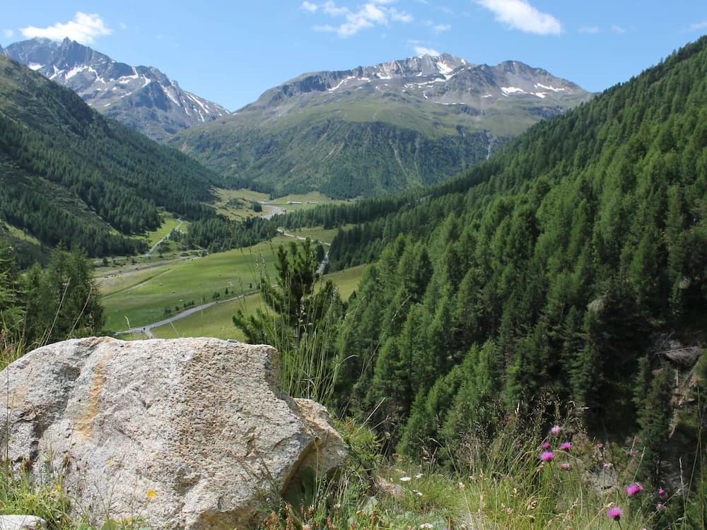 View from property