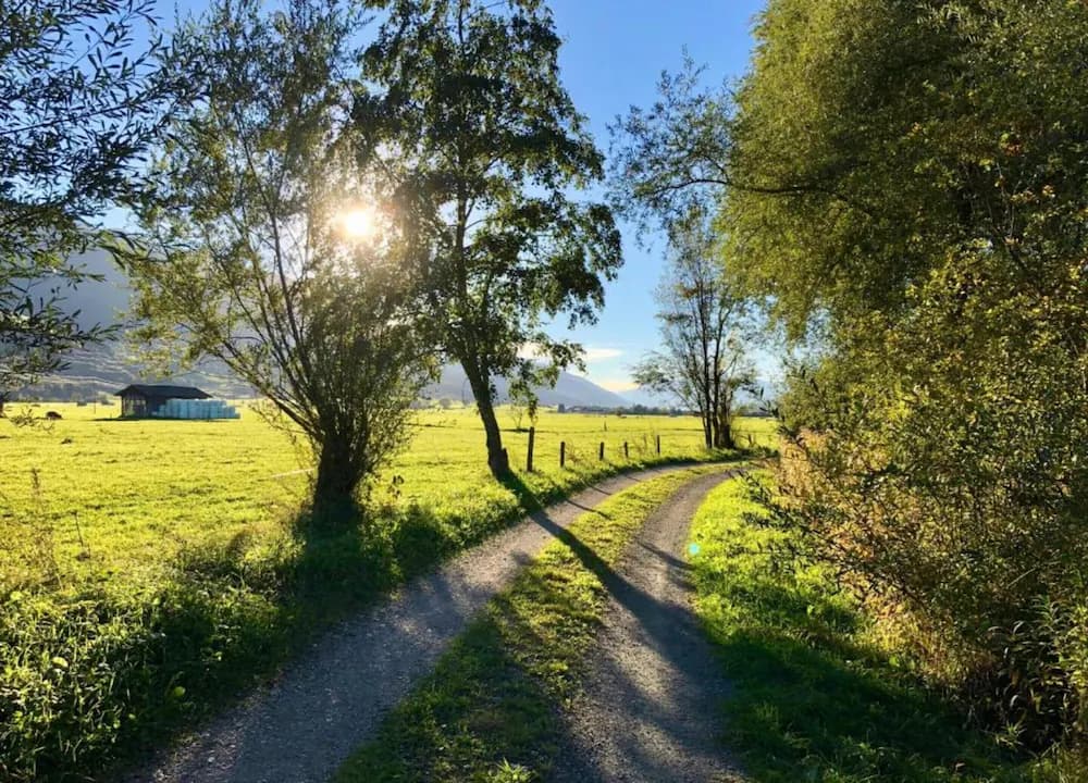 View from property