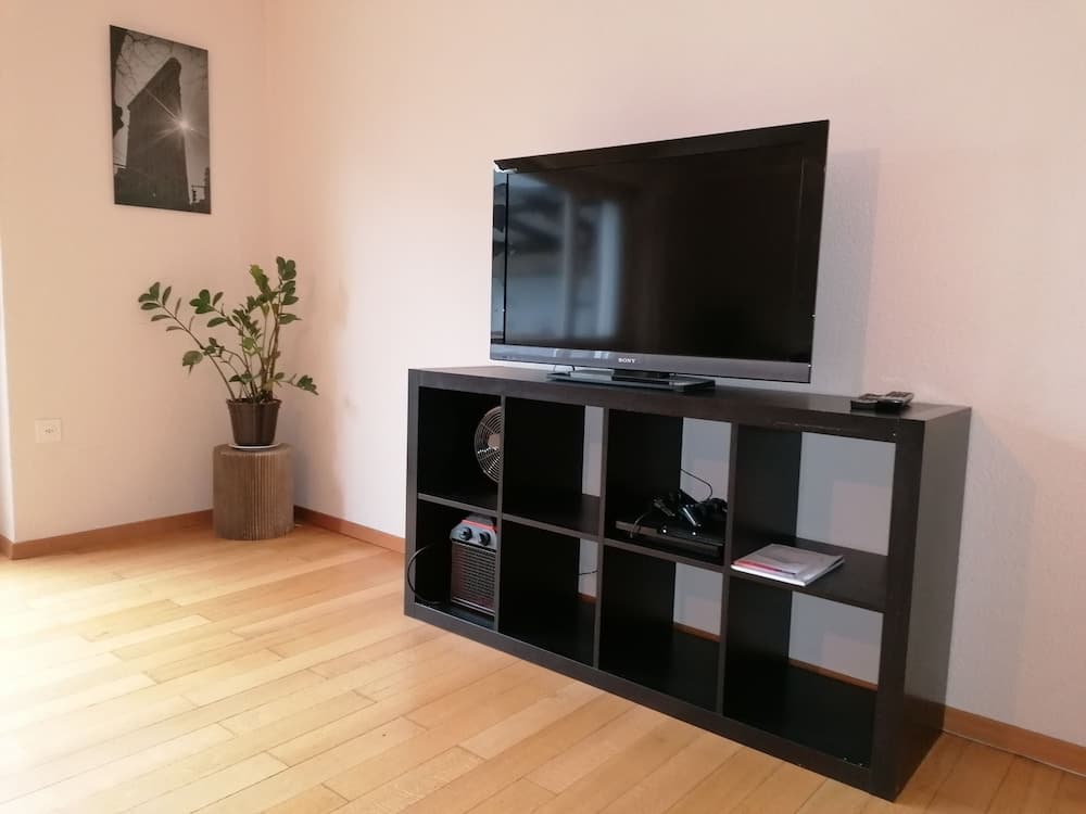 Television