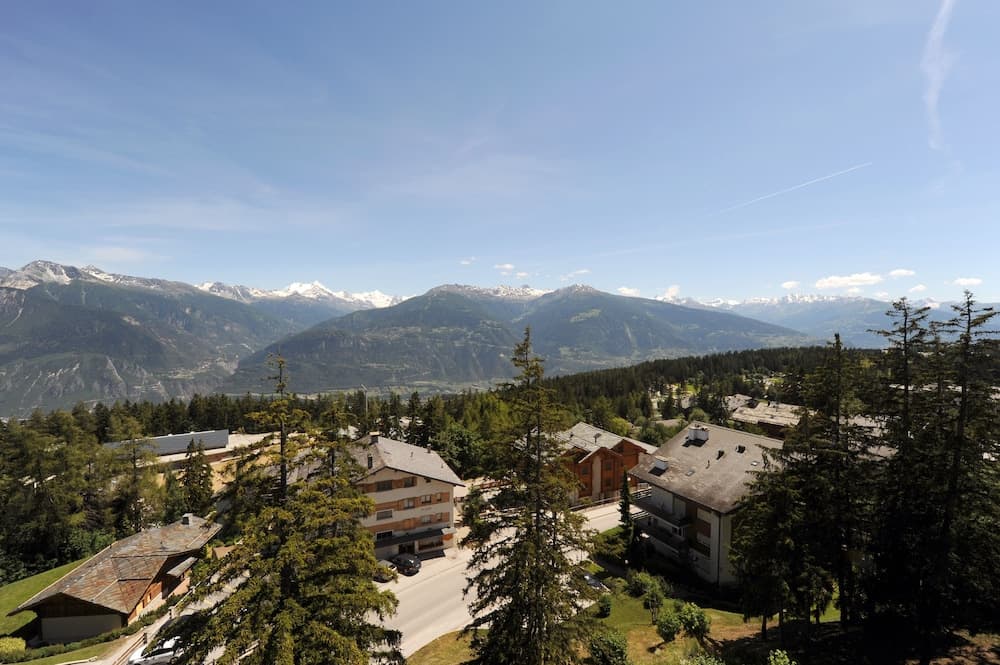 Mountain view