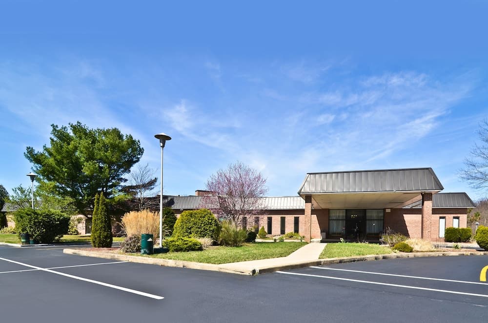 Primary image