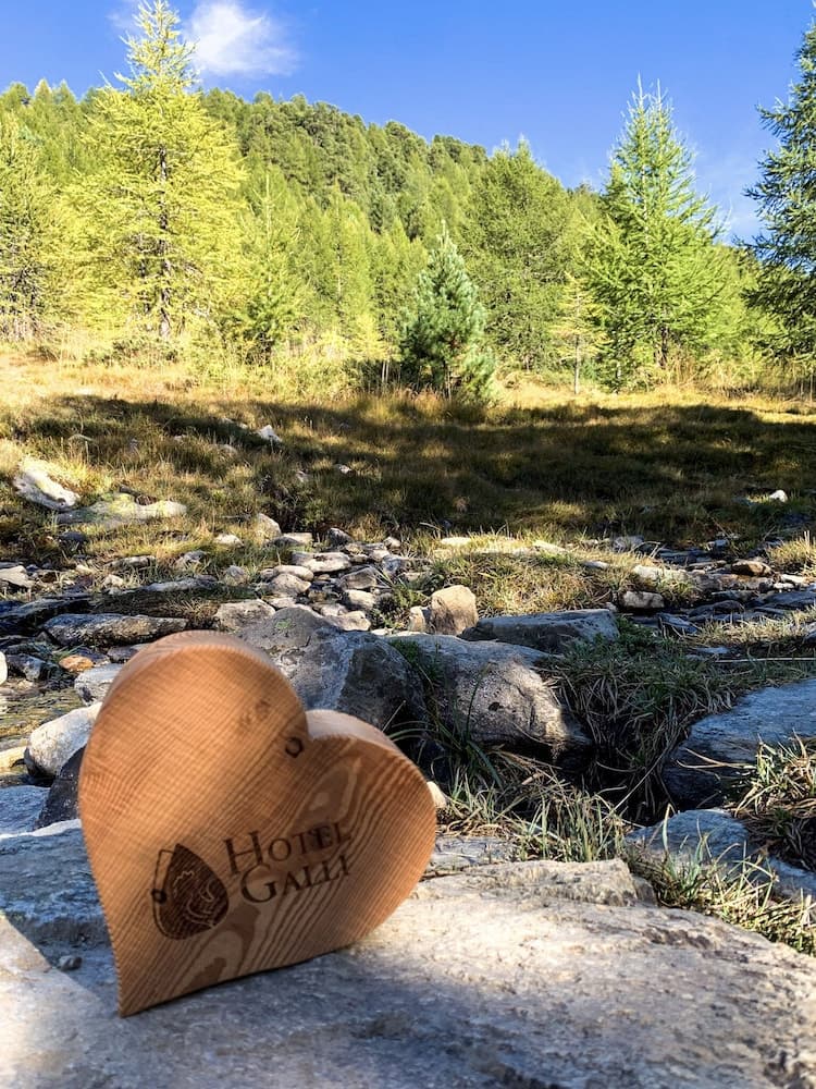 Hiking