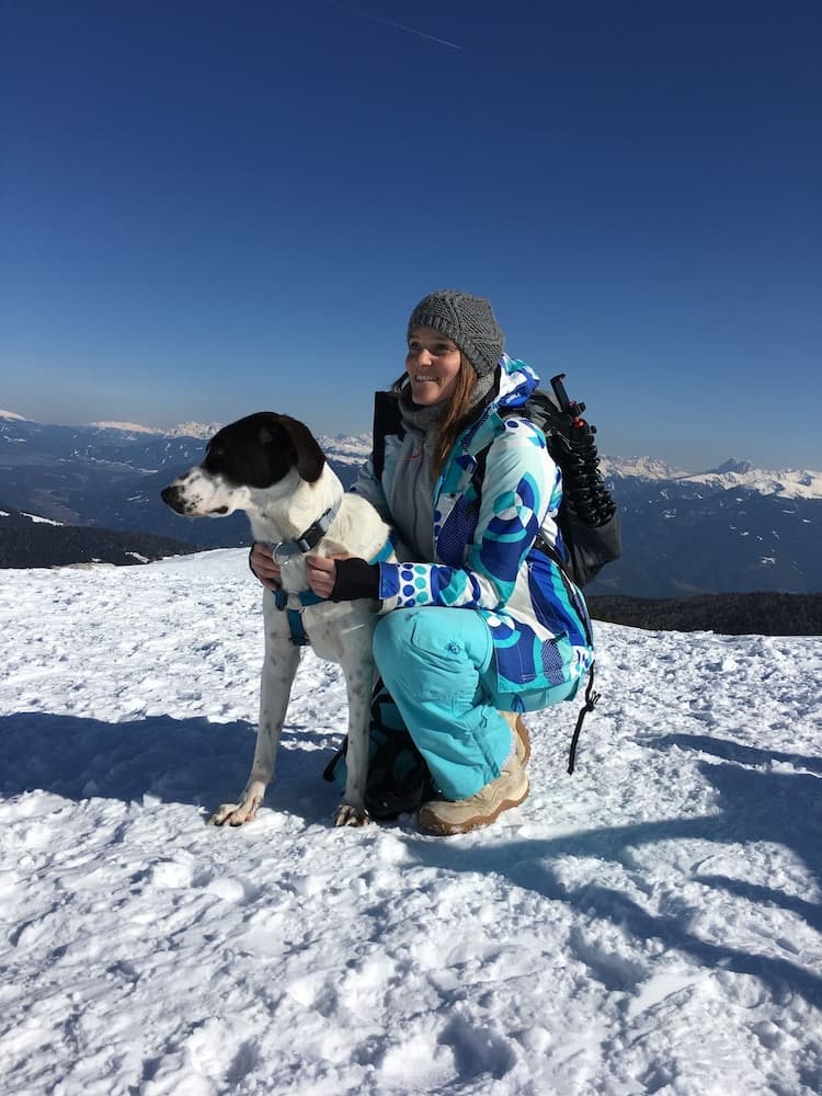 Pet-friendly