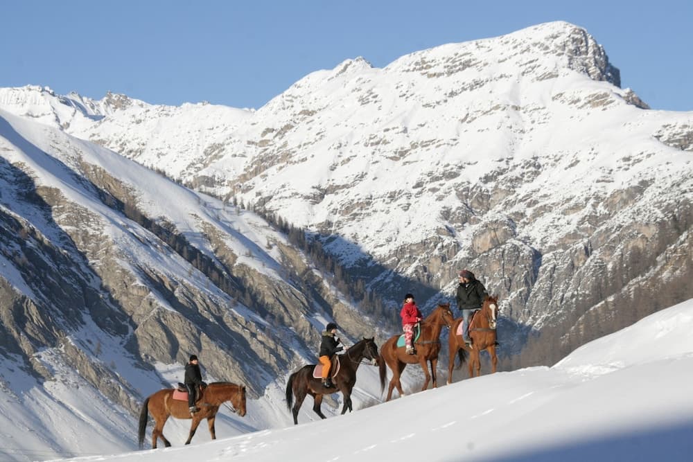 Horseback riding