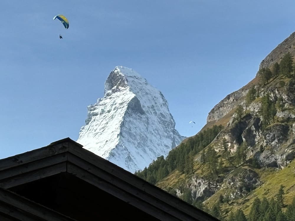 View from room