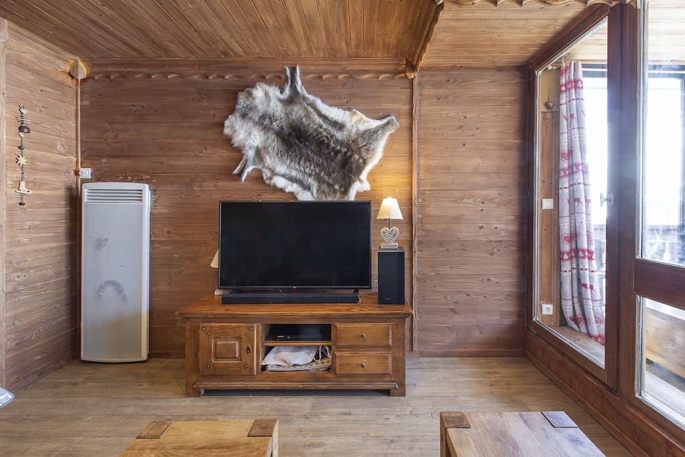 Television