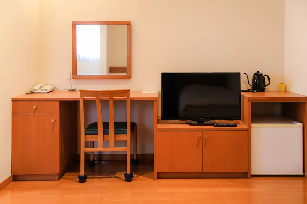 Television