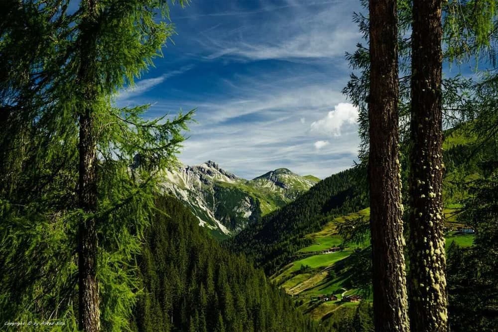 Hiking