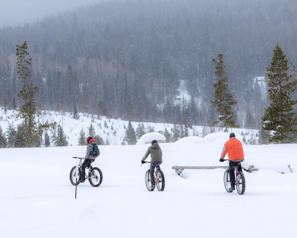 Snow and ski sports
