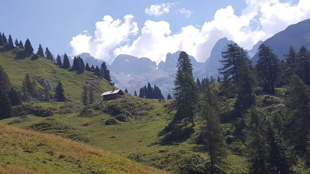Hiking