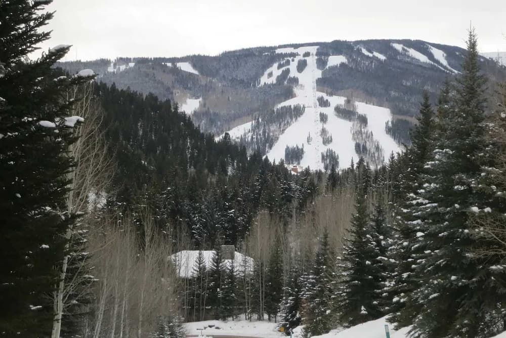 Mountain view