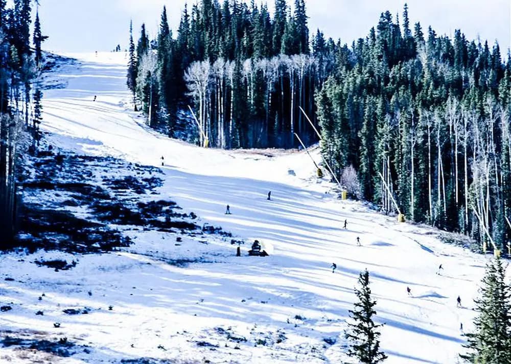 Snow and ski sports