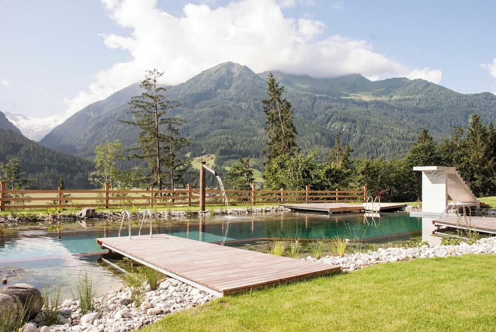 Natural pool