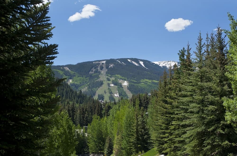 Mountain view