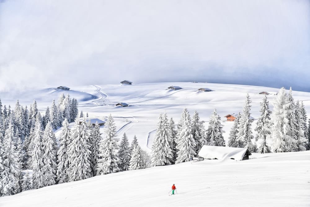 Snowshoeing