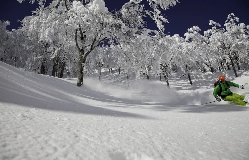 Skiing