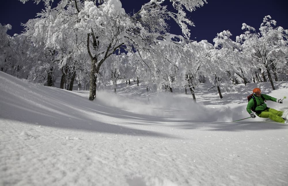Skiing