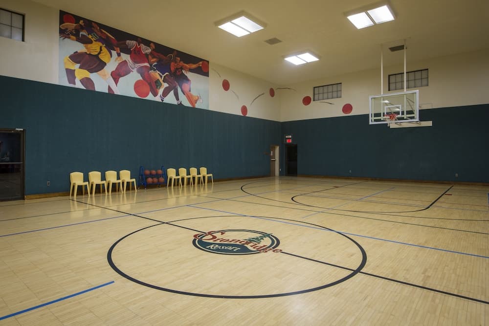 Sport court