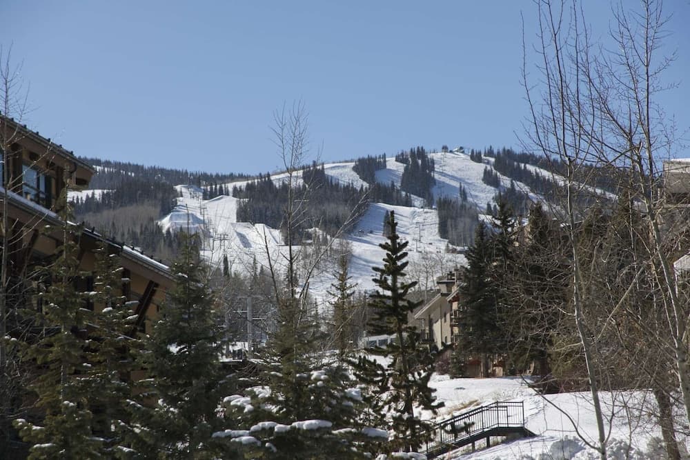 Ski hill