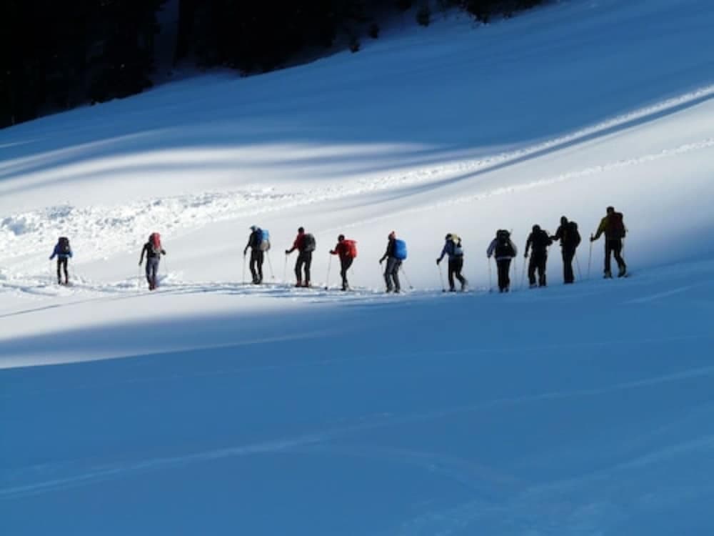Snowshoeing