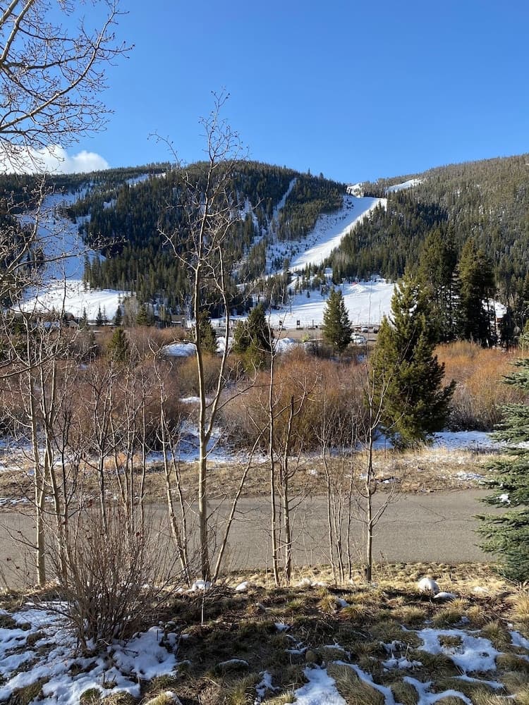 View from room