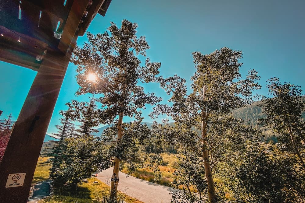 View from property