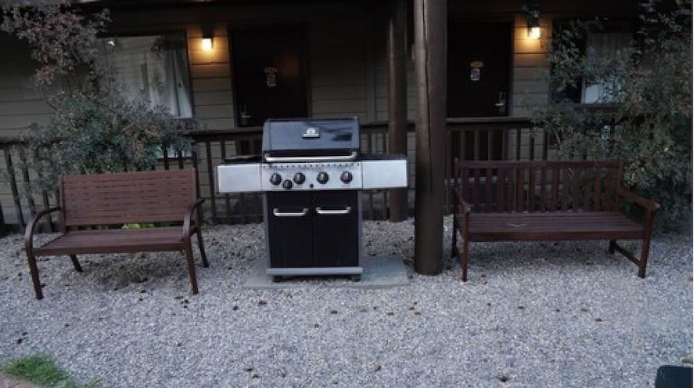 BBQ/picnic area
