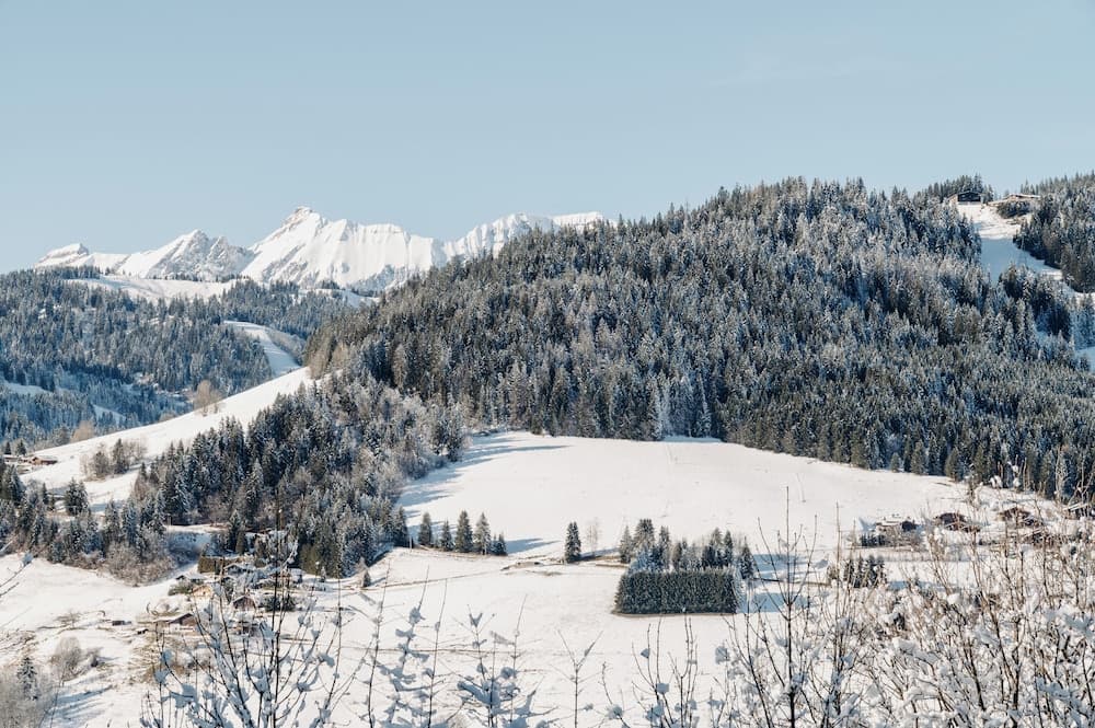 Skiing