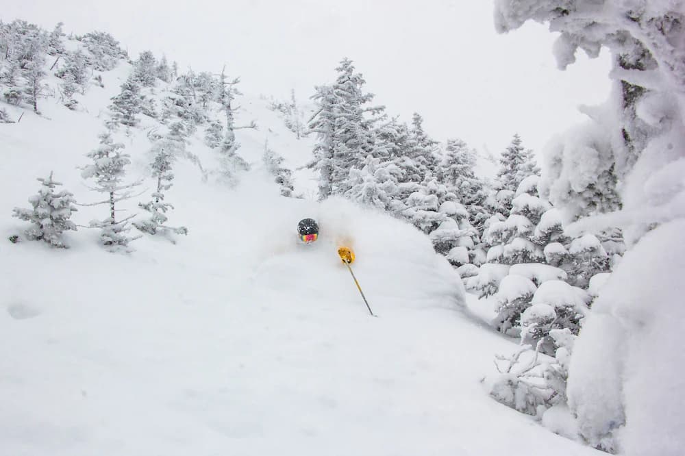 Snow and ski sports