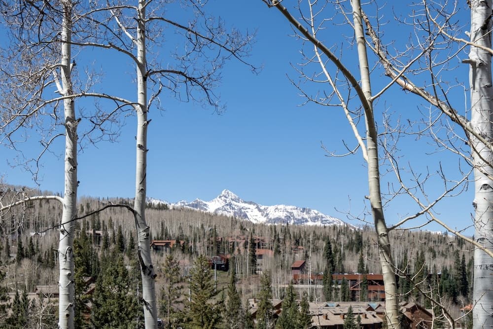 Mountain view