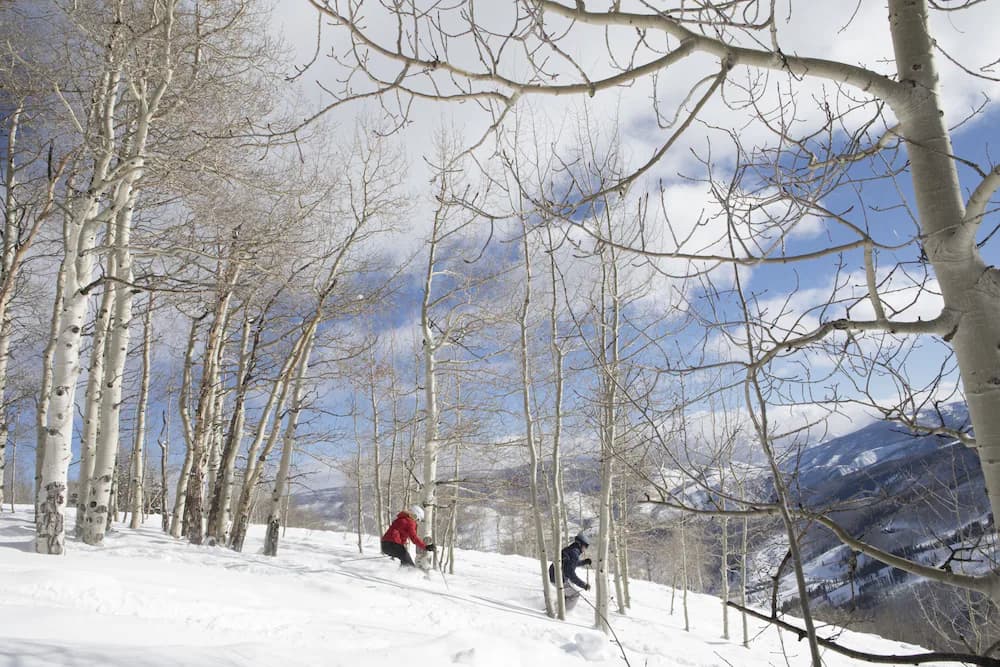 Snow and ski sports