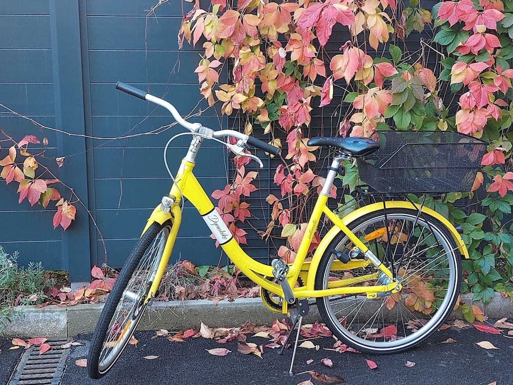 Bicycling