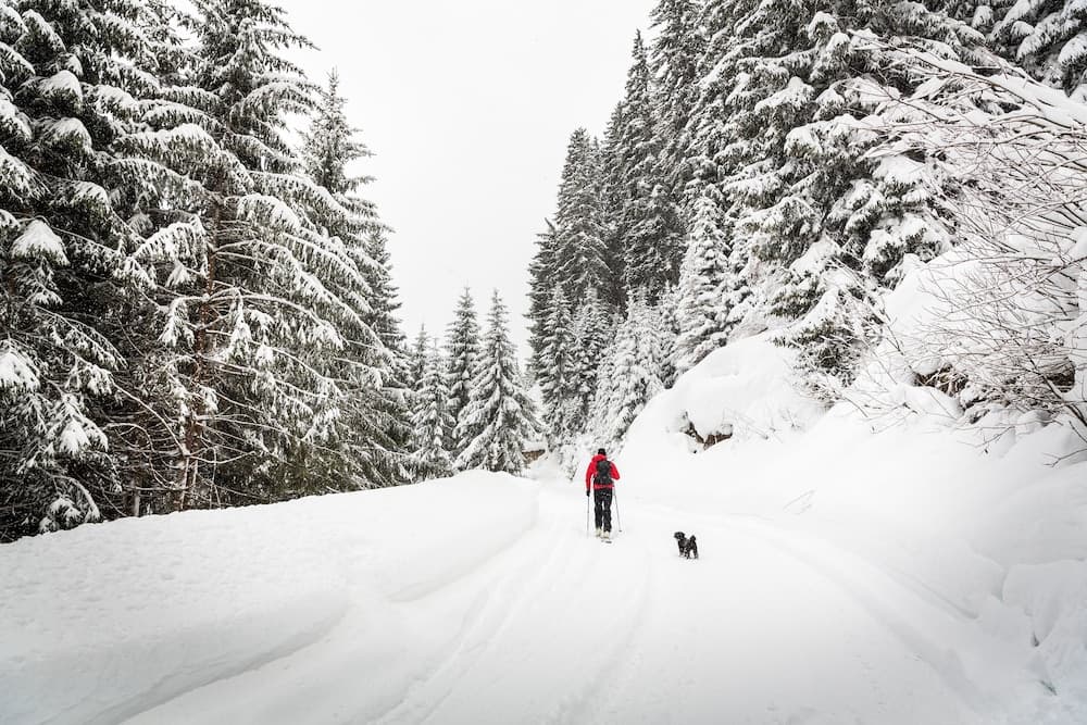 Snow and ski sports
