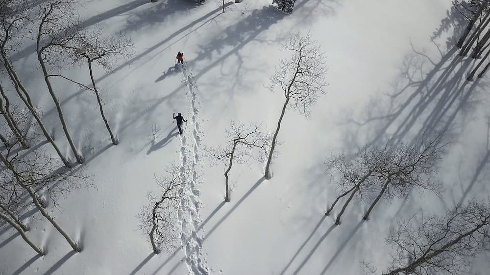 Snowshoeing